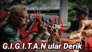 Tes G.I.G.I.T.A.N Dan taring Ular derik Chipo the genk Ngompol Wanto Goweng Mules mules.