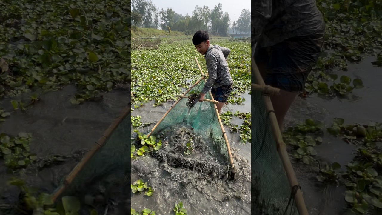 The Ultimate Big Fish Catch Challenge |Traditional Net Fishing 