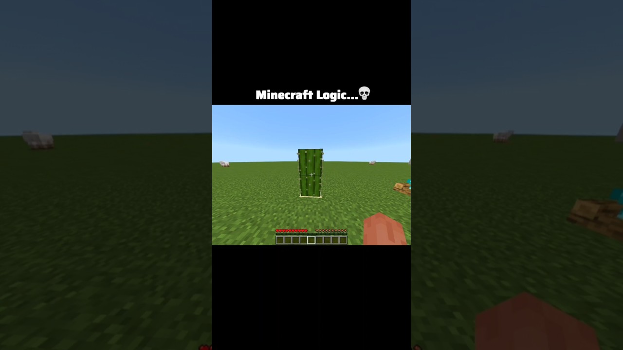 Minecraft Logic That Makes ZERO Sense 🤯