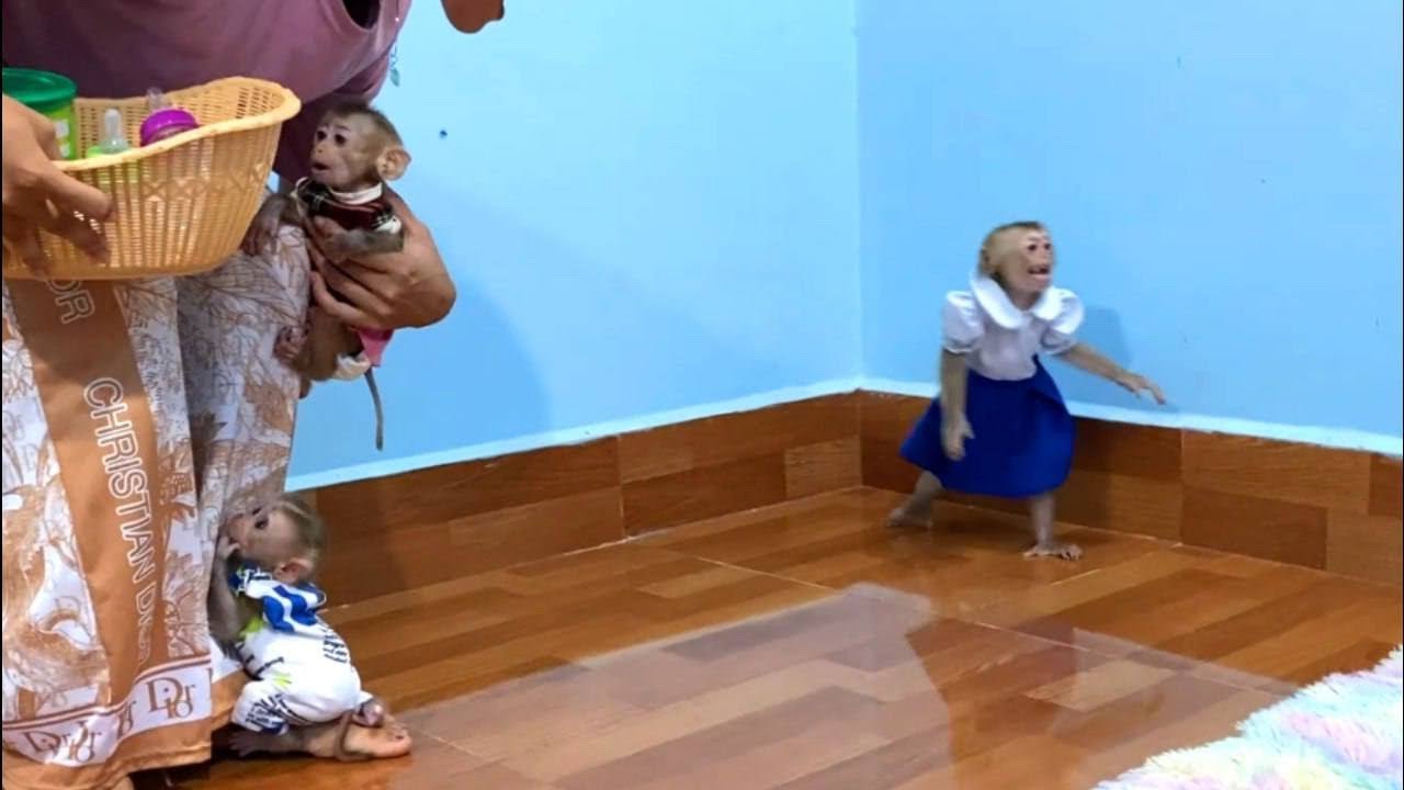 Dramatic Jueur Scremmm Loud At The Wall ALone Cuz Mom Adviceee Her