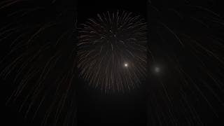 10‘Inch Golden Titanium Willow To 🐉 Chrys. W/Brocade Tail