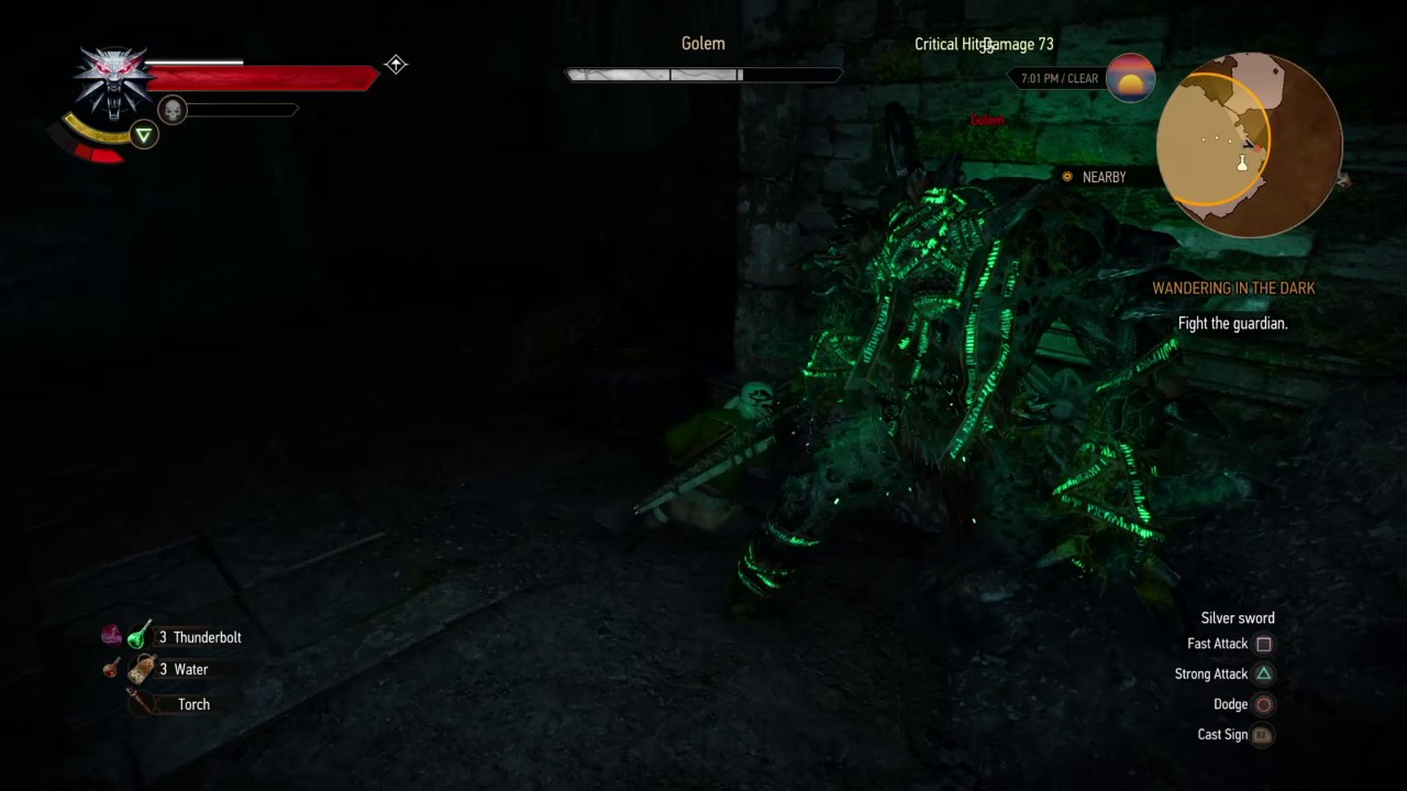 Sometimes, You Just Get Lucky! - The Witcher 3