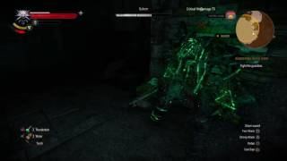 Sometimes, You Just Get Lucky! - The Witcher 3