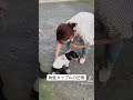 【同性カップル】双子の不審行動がすごい。#shorts