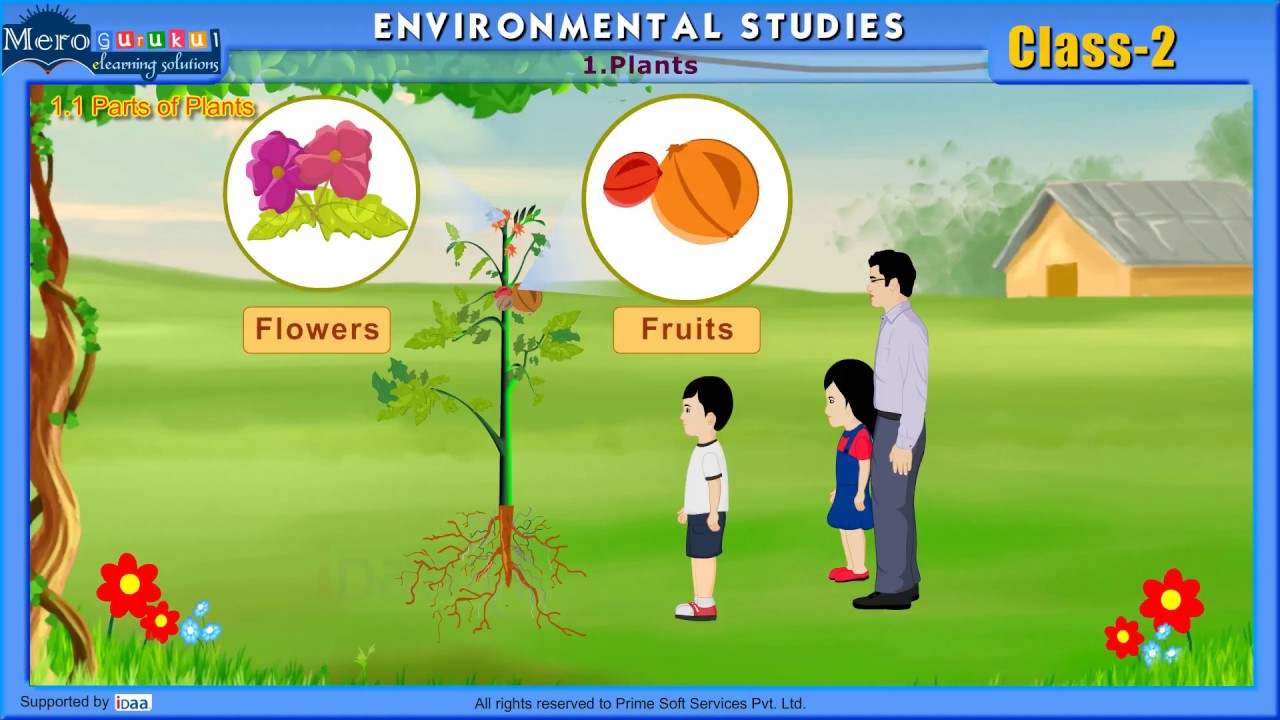 Environmental Studies Class 2 YouTube