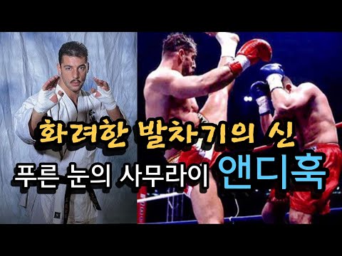 K-1을 평정한 극진가라데 절대고수 &amp;quot;푸른 눈의 사무라이&amp;quot; <strong>앤디</strong> <strong>훅</strong> ㄷㄷ