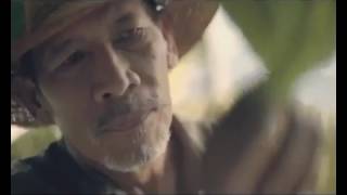 Dji Sam Soe - Guitars