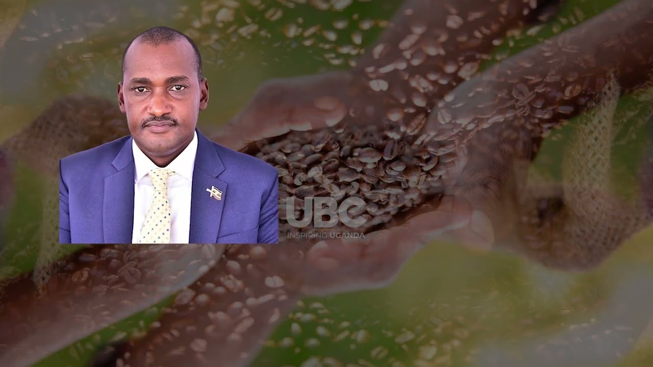 Still from Drought, global supply pressures challenge Uganda's coffee and cocoa farmers