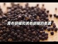 【K&P】貢布胡椒粒-黑胡椒/白胡椒/紅胡椒3包組 product youtube thumbnail