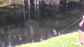GATOR TRAPPERS at RAGINIS POND