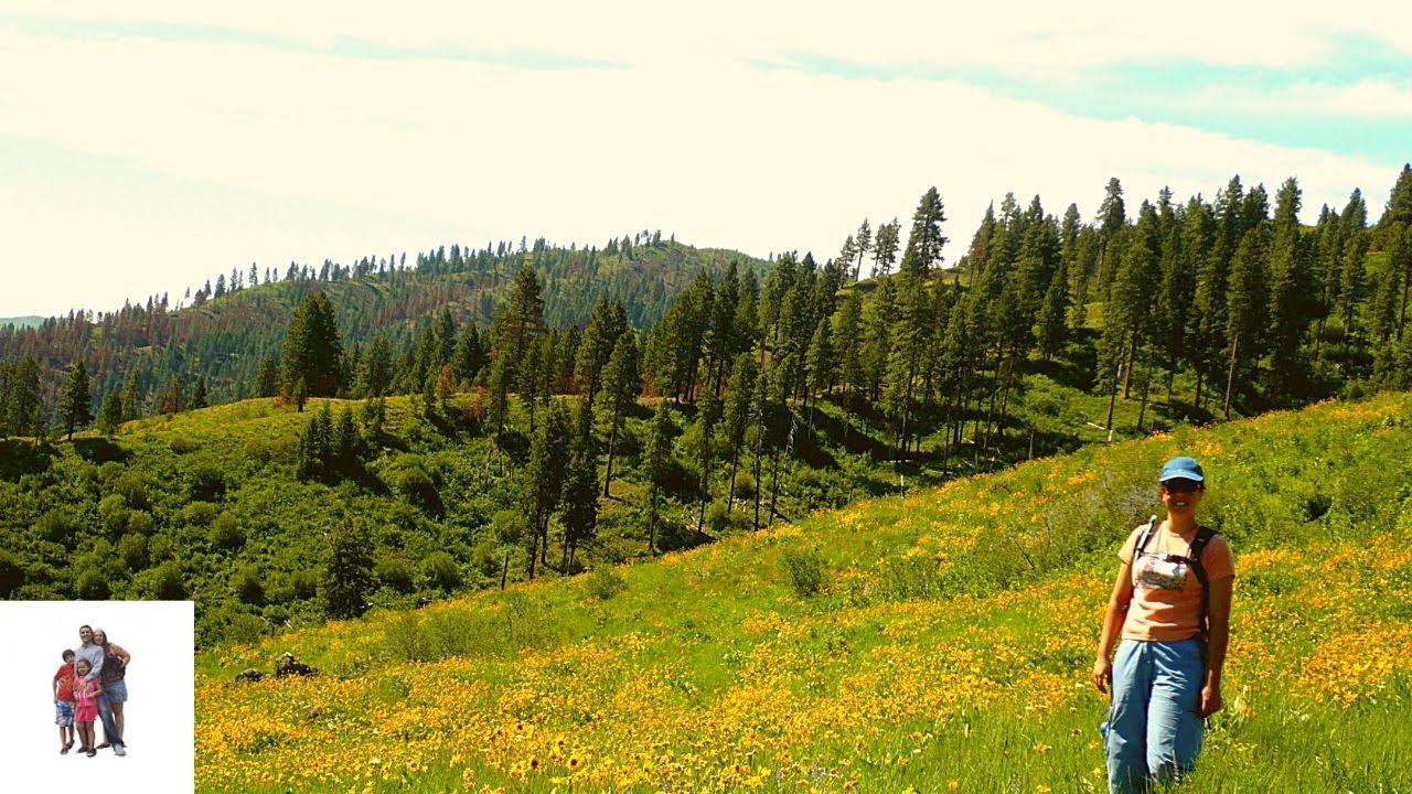 Hiking among the wild flowers at Garden Valley Idaho YouTube