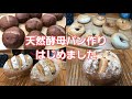 天然酵母パン作り　レーズン酵母で天然酵母パンを作ってみた