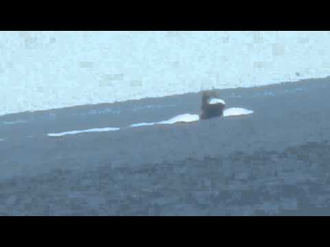 Nikon P900 fishing boat that merges with horizon becomes visible under zoom