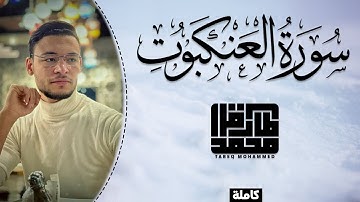 تلاوة من سكون الليل || سورة العنكبوت (كاملة) || طارق محمد
