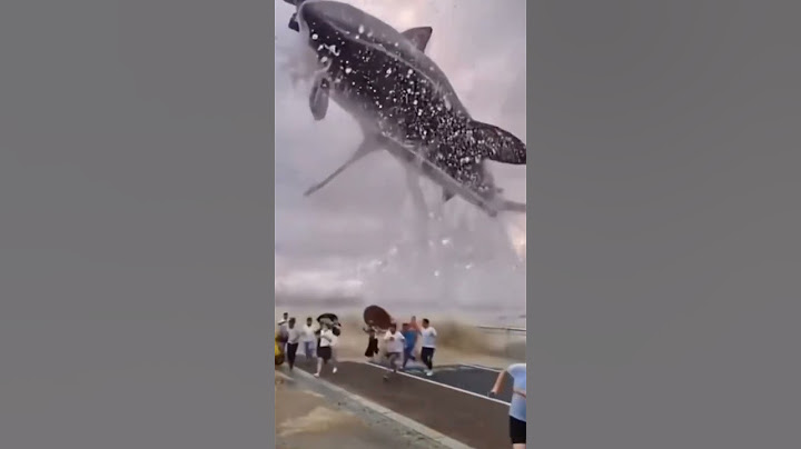 Real Shark Megalodon In Real Life #shorts