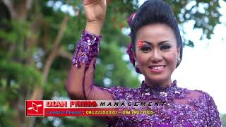 CIBULAN - DIANA SASTRA