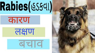 Rabies(रेबीज/હડકવા) वायरस का कारण, लक्षण, और बचाव। causes, symptoms and prevention