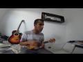 I&#39;ll see you in my dreams - André Souza Cover - Ukulele