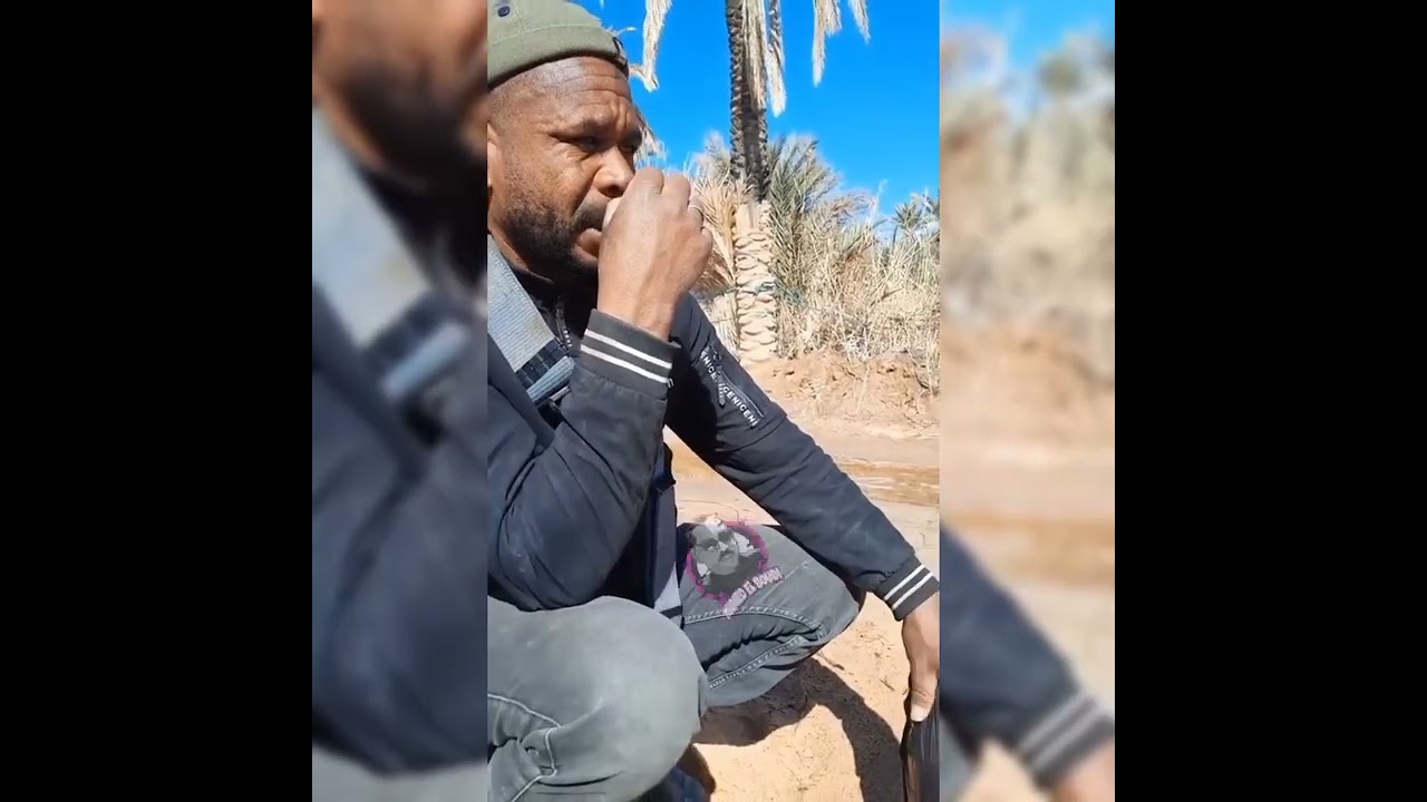 جديد البدي2022