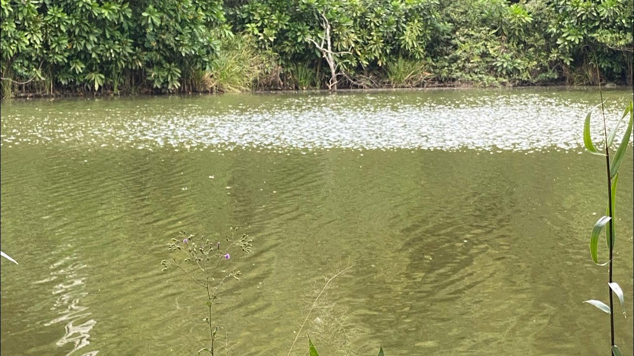 Kuacha NATURE (ASILI) ni Kuangamia | Sisi ni Viumbe ASILI | Mungu ni ASILI iliyo HAI 