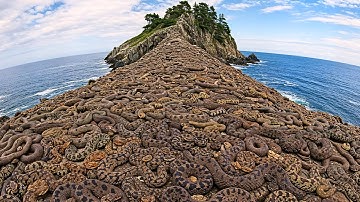 Most DANGEROUS Places in Nature
