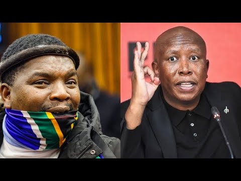 UNgizwe Ushiye Angalazi ku-Julius Malema, Ziyakhala 🔥.