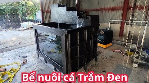 Bể nuôi cá Trắm Đen 🐬 (200×150×120) | Nhựa nguyên khối kết hợp kính siêu trong
