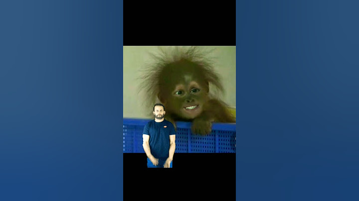 monkey 🐒 🙈 #shorts #video #relaxing #emoji #face