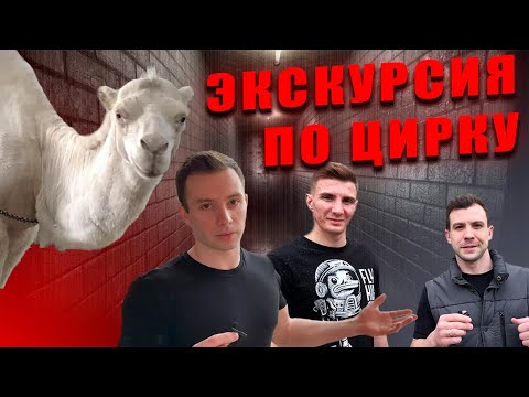 Самарский цирк, взгляд изнутри. Такого вам никто не покажет!