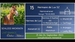 Lot Nr. 15 Hermann de Lux SZ  v. Hermes de Lux - Alaba