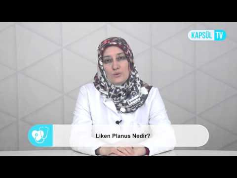 Video: Thallus liken nedir?