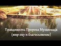 Правдивость Пророка Мухаммада (мир ему и благословение)