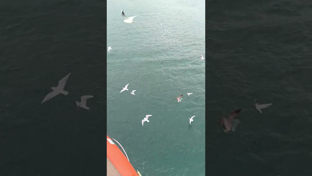 ISTANBUL TÛRKÎYE  25/2/2026