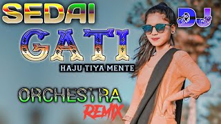 New Santali Orchestra Dj Song 2024 / Sedai Gati Haju Tiya Mente / Kocha Re Tang Handi Dj