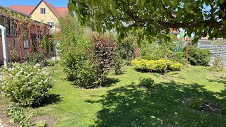 видео: #недвижимость #анапа #домуморя #москва Дом образцового содержания с шикарным участком 13 сот., 17400 картинка: #недвижимость #анапа #домуморя #москва Дом образцового содержания с шикарным участком 13 сот., 17400