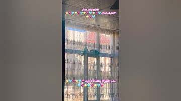 تلاوه خاشعه من الذكر الحكيم #اكسبلور #cutebird #foryou #birds #cuteparrot #parrot