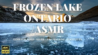 FROZEN LAKE ONTARIO | CHRISTIE LAKE HAMILTON | ASMR | SOFT PIANO MUSIC screenshot 2