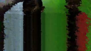 #lagujawa #bahasajawa Wes kasep arep diapakne