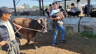 Sotilganlari va Bozordan qaytganlari Xo'jabod Chorva Bozori 25-may, 2024