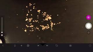Cookie stop motion animation (old)