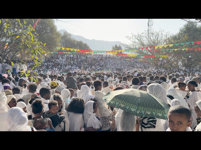 M.I.A. - TRUMPET 7 (OFFICIAL VISUALIZER)