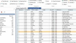 IDEA 10 Tutorial  Fuzzy Duplicate Wealth