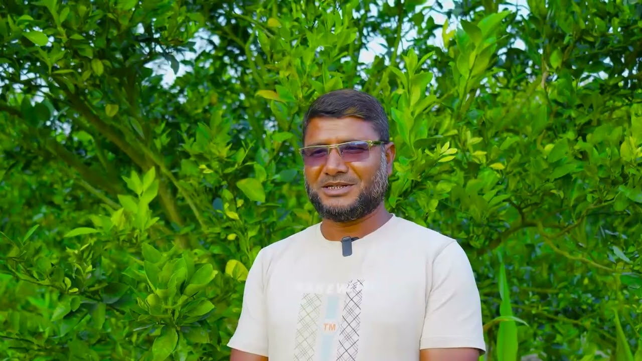 সিও সংস্থার উপকারভোগী সফল উদ্দোক্তা মোঃ রফিক এর কমলা চাষ প্রকল্প।