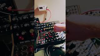 A Subharmonicon / DFAM Patch, Plus Minilogue #synth #moog
