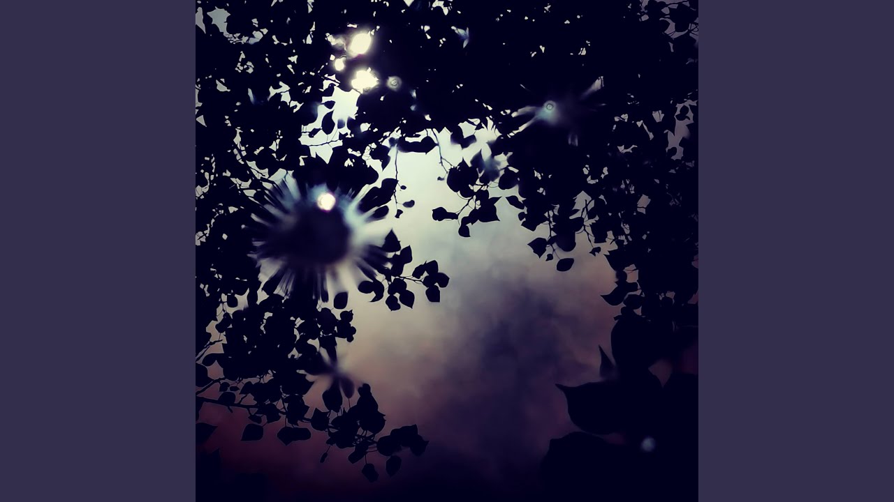 Leaflight auf YouTube ansehen Leaflight auf YouTube ansehen