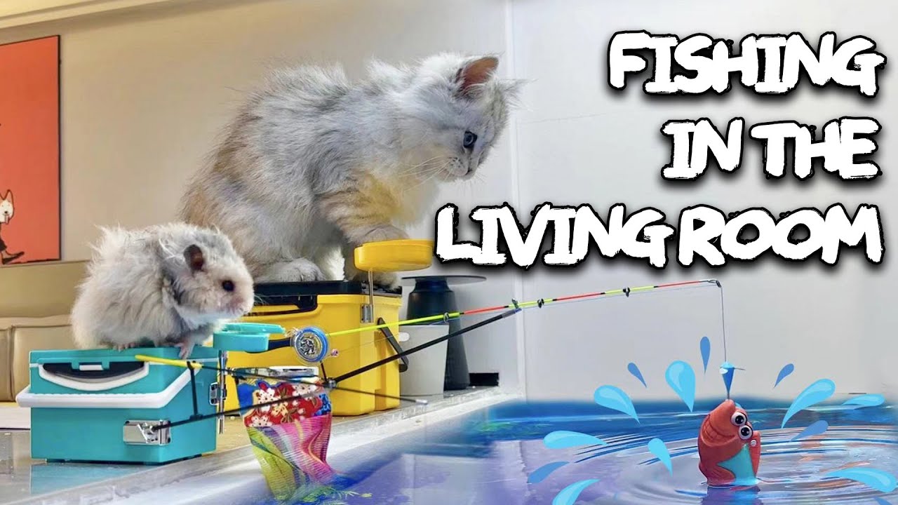 Let's go Fishing in the MiniHouse for Pets 2year DIY Mini Home for