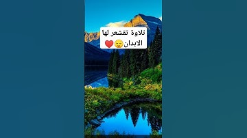 أكتب شئ تؤجر علية 🙂‍↕️ #تلاوات_خاشعة بصوت القارئ اسلام صبحي #اكسبلور #لايك