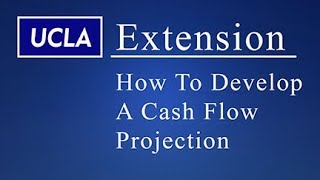 The Cash Flow Projection