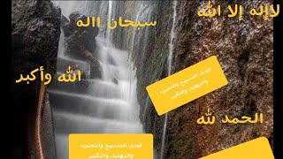 فضل التسبيح والتحميد والتهليل والتكبير??