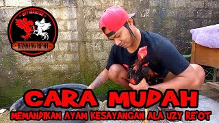 Perawatan sederhana memandikan ayam jago kesayangan ala Uzy Re'ot Banjarbaru !!!